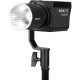 60W Daylight