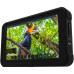 Монітор Atomos Shinobi 5' 4K HDMI Monitor (ATOMSHBH01) | від бренду Atomos