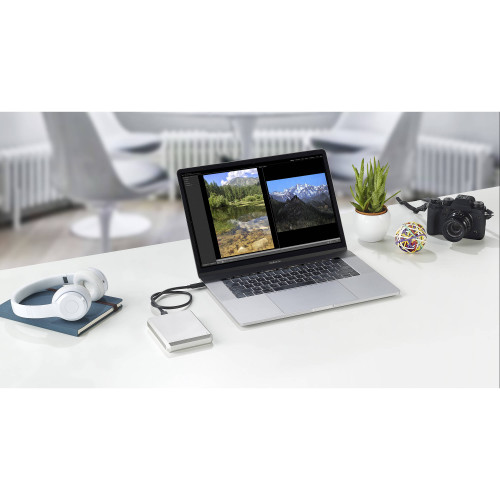 Портативний зовнішній накопичувач LaCie 4TB USB 3.1 Type-C Mobile Drive (Moon Silver) (STHG5000400) | від бренду LaCie